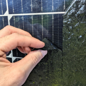 Peels Off and Disapose